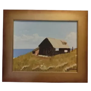 Rancho viejo en Playa Grande